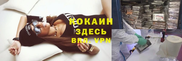 кокс Алексин