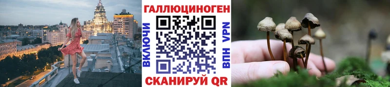 мега зеркало  купить наркотик  Бакал  Псилоцибиновые грибы MAGIC MUSHROOMS 